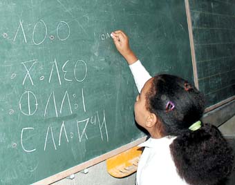 enseignement amazigh