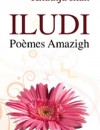 Iludi