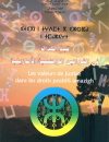 Les valeurs de justice dans les droits positifs Amazigh