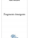 Fragments émergents